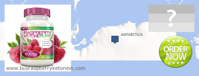 Dove acquistare Raspberry Ketone in linea Antarctica